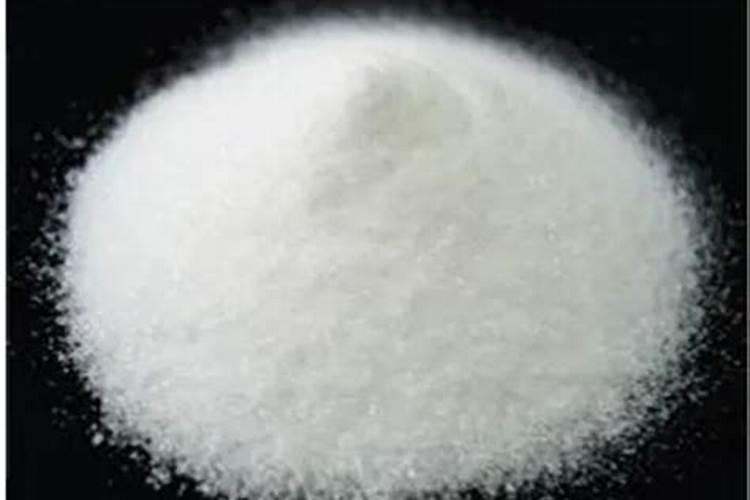 释迦果苗长的慢