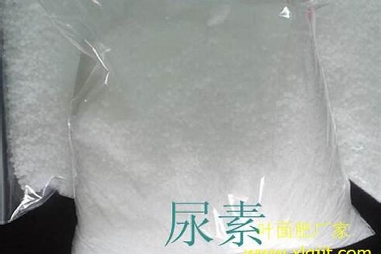 如果用尿素做叶肥的话,兑水的比例大概是多少？