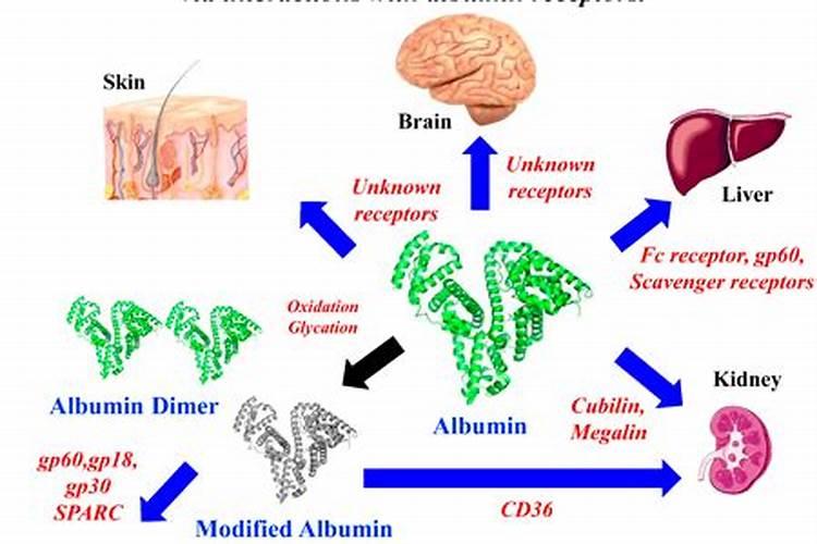 氮肥的作用是什么