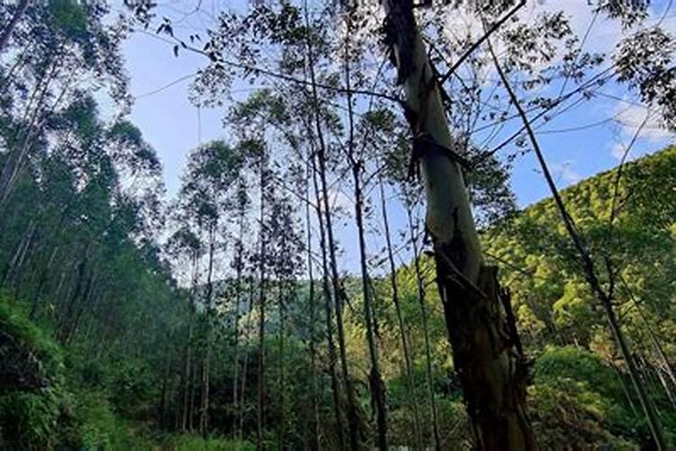 绿风速液态氮肥的具体使用方法和建议