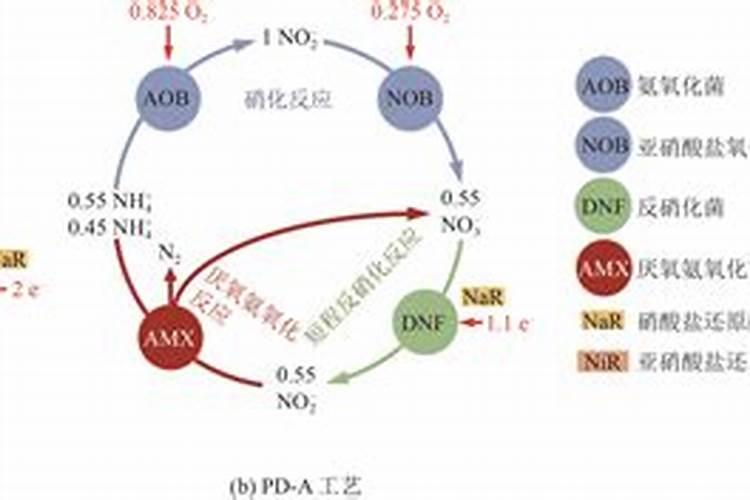 【养鱼学而记】腐殖质与水体发黄