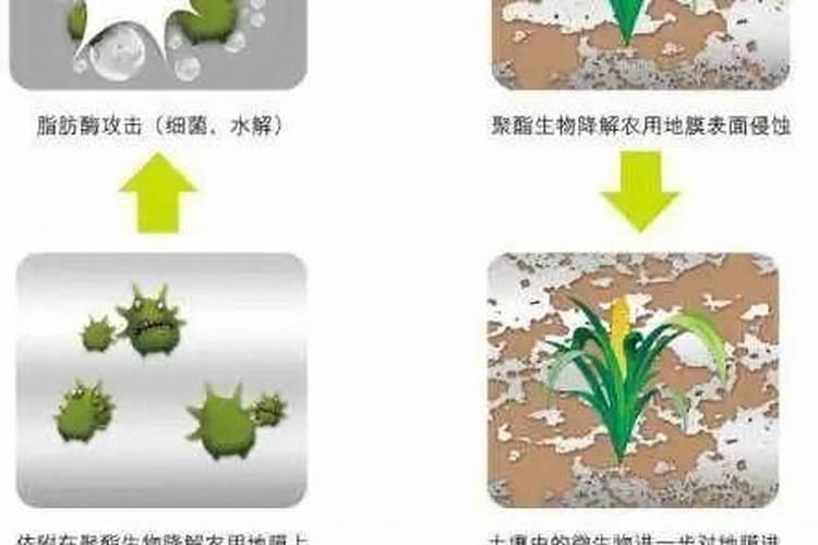 你好在哪里做地膜？