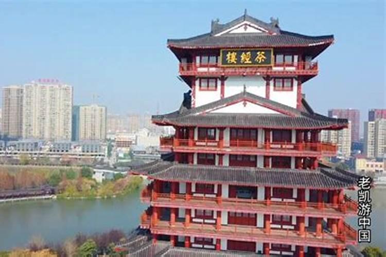 天门冬冬天落叶吗？