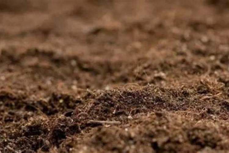 如何制作酸性肥料