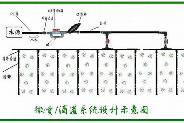 土豆施什么水溶肥？