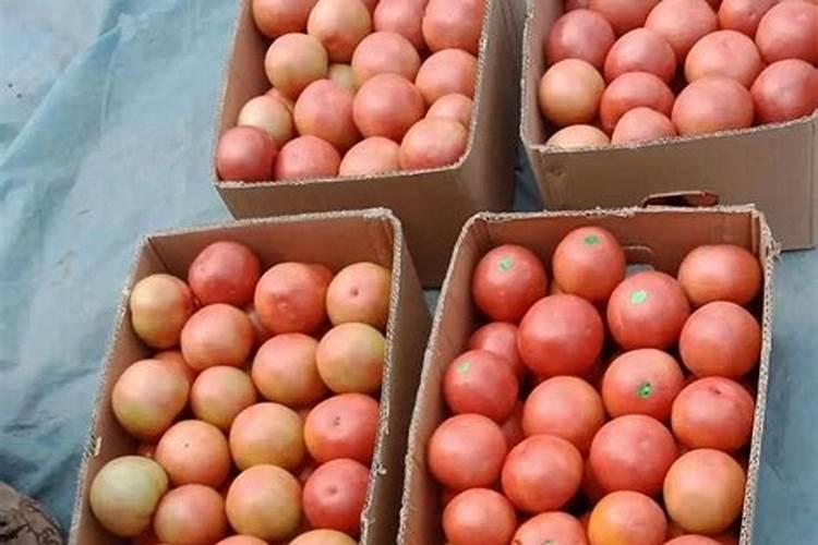 高磷高钾的肥料有哪些