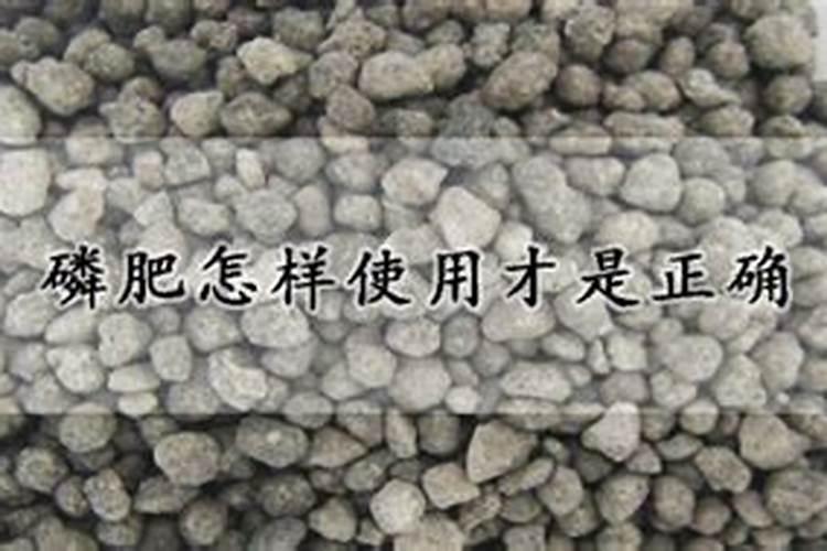 磷肥尿素与复合肥区别