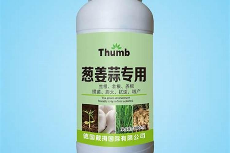 1斤水溶肥兑多少水