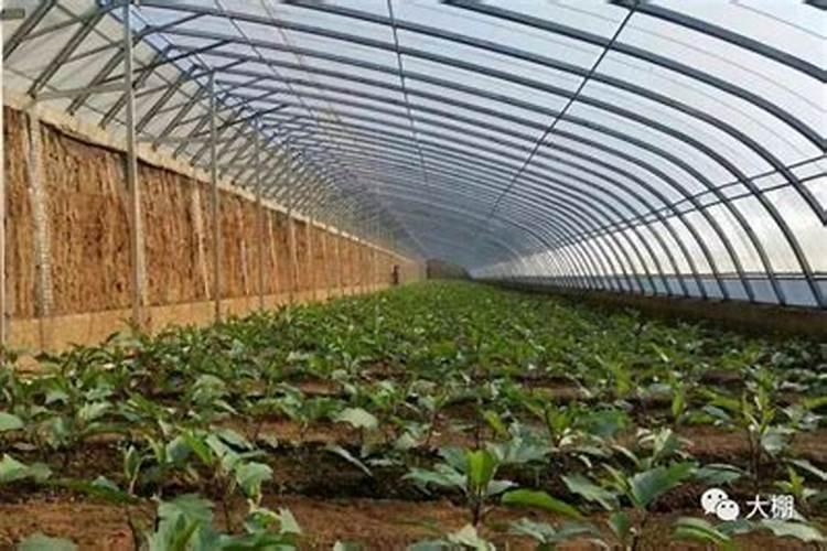 腐植酸肥料使用大忌