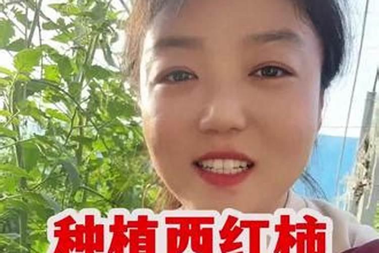 怎样 种出甜 草莓