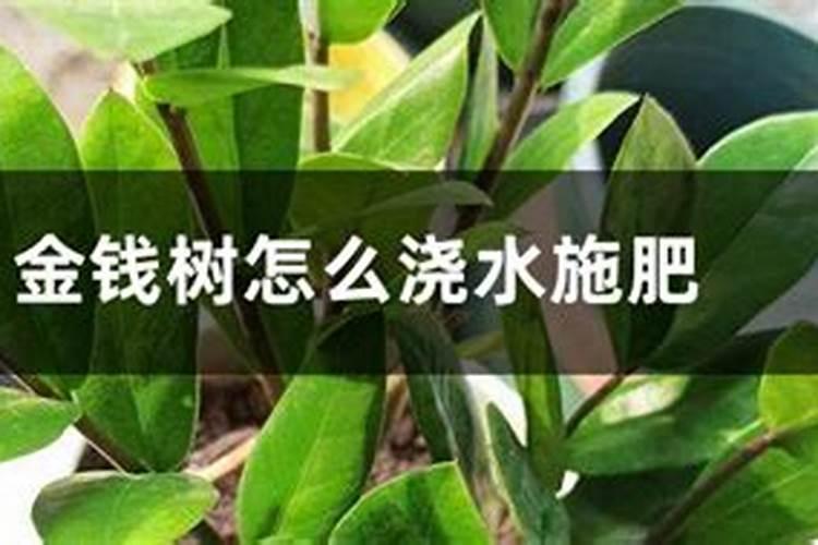 硝酸钾正确使用方法