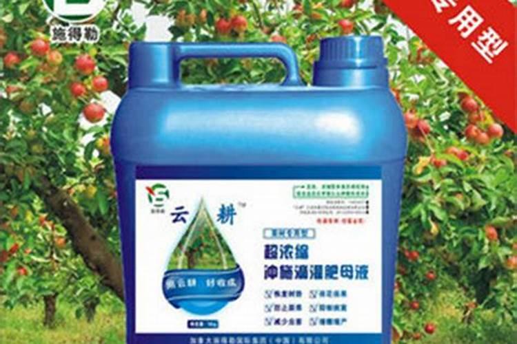 增加果实甜度的妙招