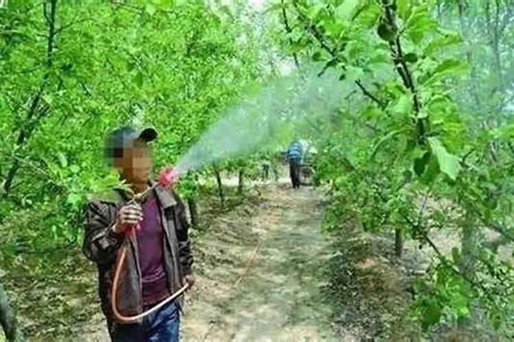 玉米苗后除草可以放液体氮肥一起喷施吗？
