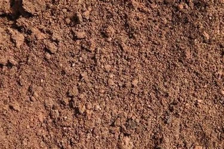 生根最快的肥料