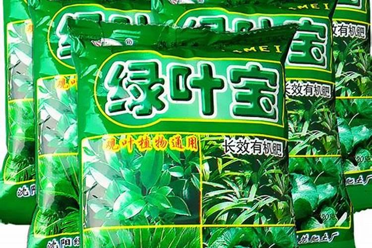 绿叶植物用什么肥料