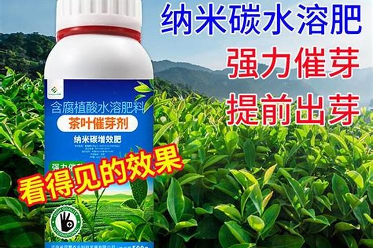 茶叶叶面肥催芽肥的正确使用
