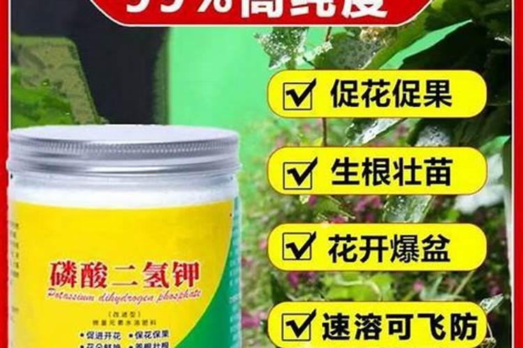 养花花肥用什么肥料好
