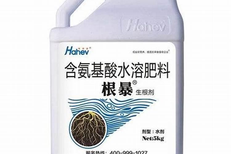 芸豆什么时候播种合适