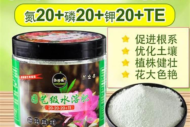 复合肥可以浇三角梅吗