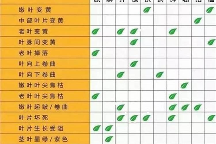 三华李膨果期用什么肥可以膨果又能提高品质？