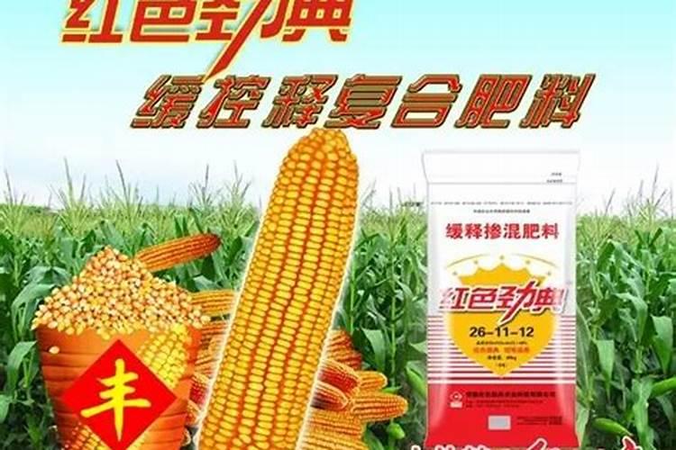 家居养花——化肥和有机肥的优缺点
