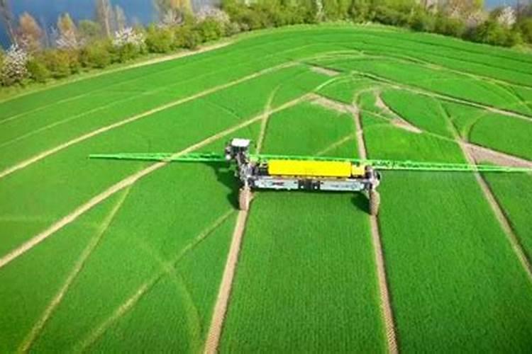 德国康朴复合肥比德国巴施夫复合肥哪个好？