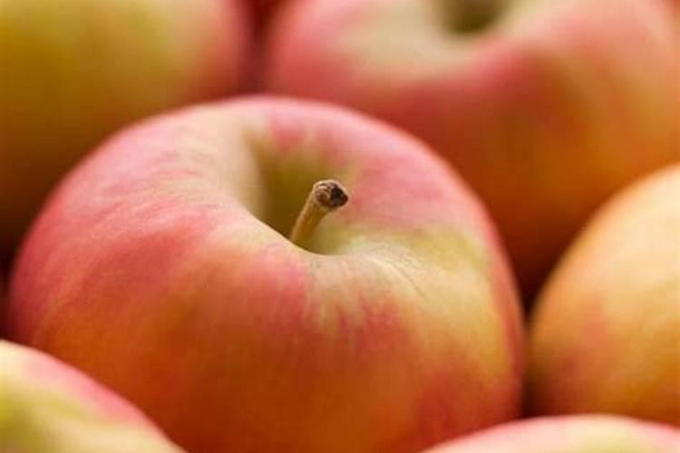 红富士苹果膨大期怎么施肥