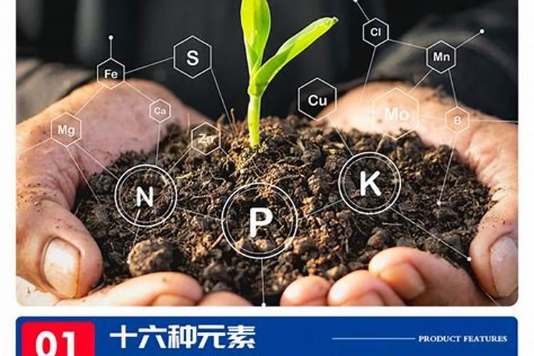 大量元素水溶肥施用几天,施用方法,注意事项