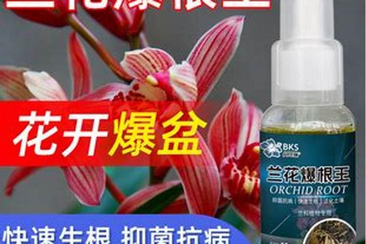 江西黑土生物有机肥有限公司怎么样？