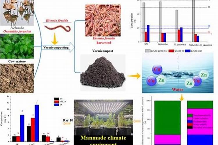 蚯蚓粪对作物连作障碍抑制作用研究进展