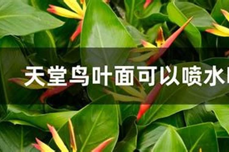 目前国内鱼蛋白肥料哪家比较好？