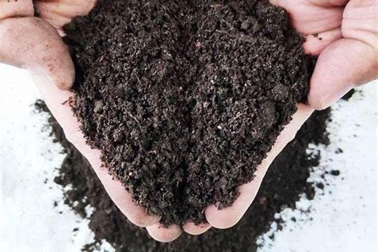 山东潍坊十大名牌叶面肥