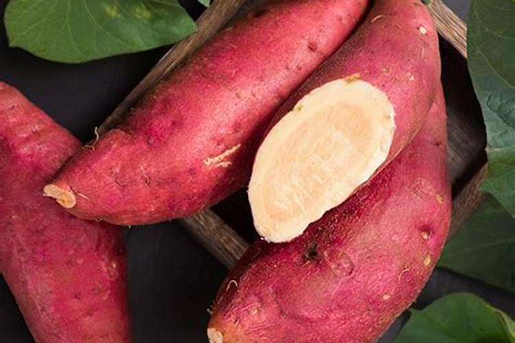 硼肥对红薯有什么作用 最佳使用时间