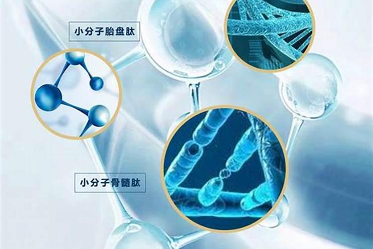 鱼胶原蛋白是什么