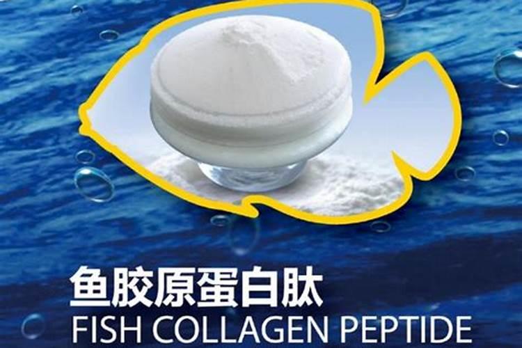 使用鱼蛋白肥会有什么效果？