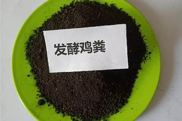 莴苣栽种以及生长注意 莴苣如何栽种以及生长注意什么