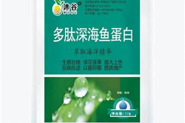 这些作物怎么使用鱼蛋白肥？千万别施错了!