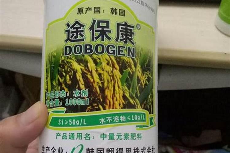 秋季杏树管理“三步曲”