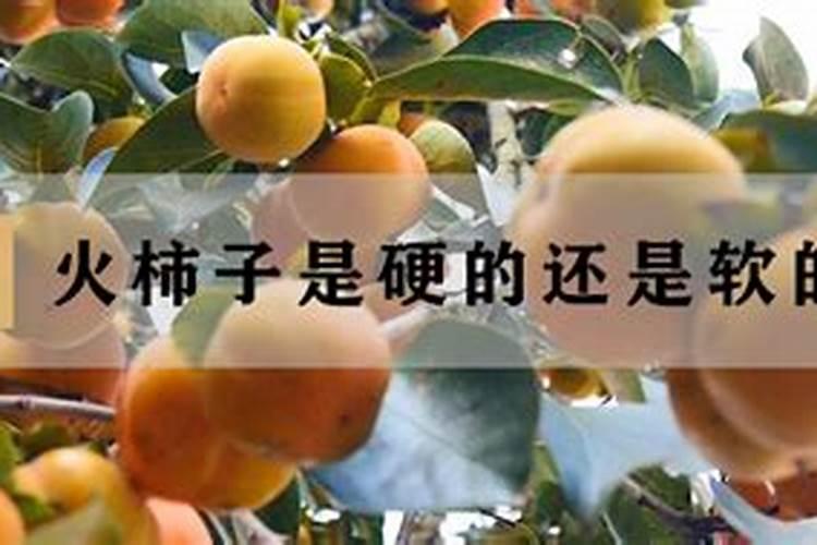 花生专用肥的最佳配方