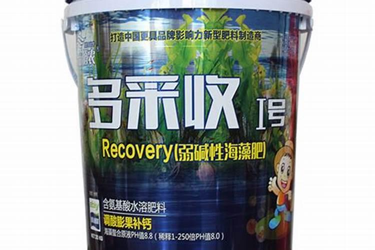 吃海藻可以增肥吗如题 谢谢了