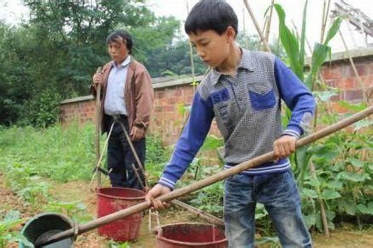 一天中给菜施肥的最佳时间