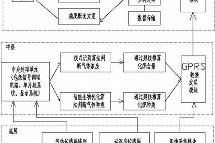 草莓高钾肥的使用方法