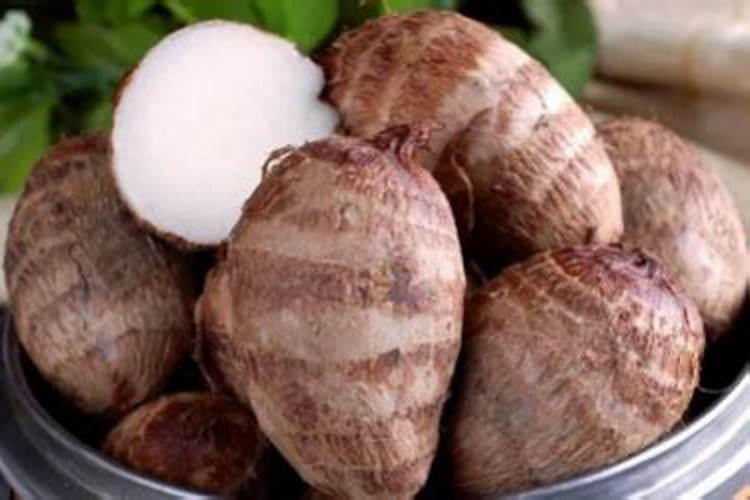 春天月季僵苗不长怎么办