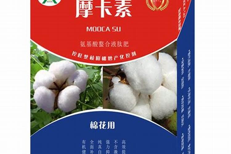 有机物有哪些？