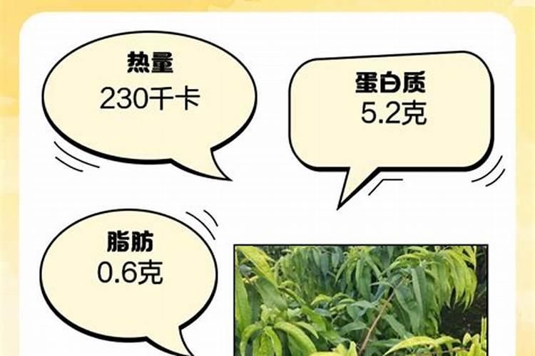 桃子软果的克星