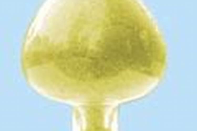 黄腐酸钾多少钱一点吨