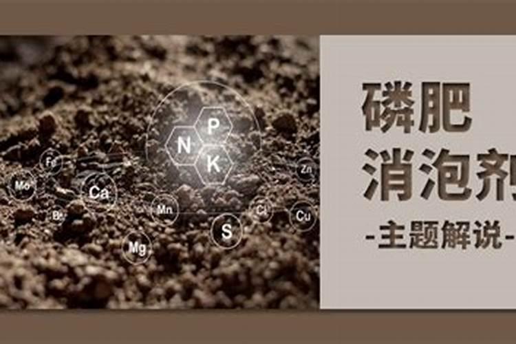 玉米六叶期能打硅肥吗