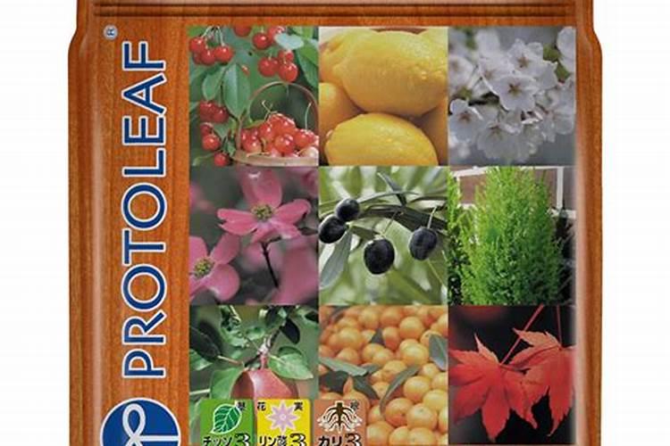 如何购买优质花木的网站推荐