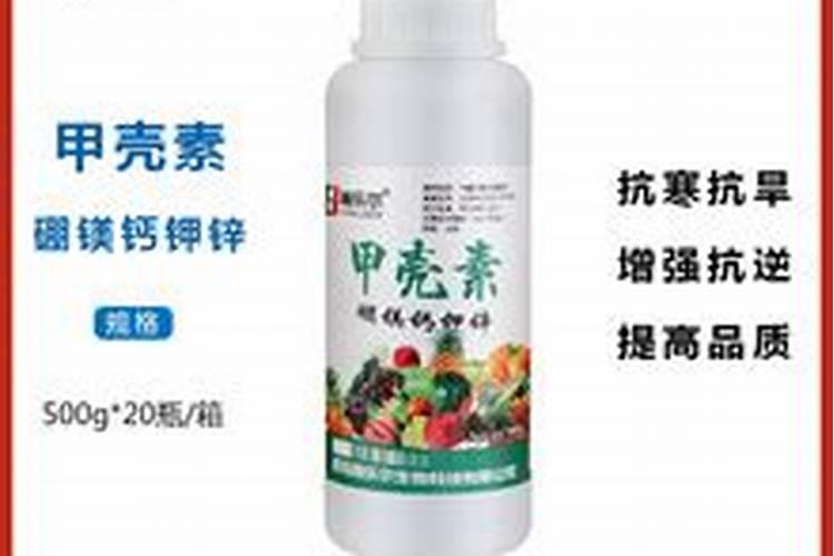 硅在玉米上的作用