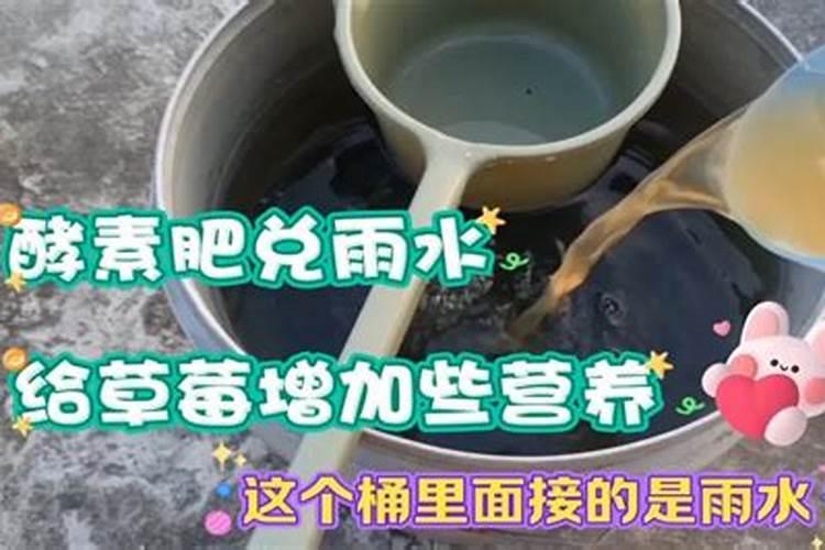 锌肥如何喷施